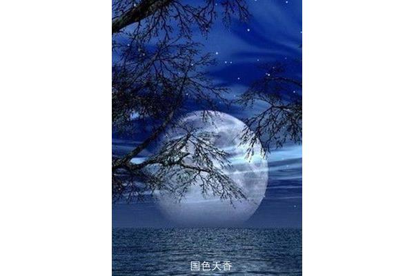 中秋月作者是谁