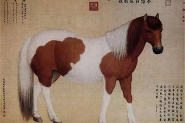 驽马是什么意思