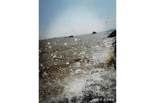 到中流击水