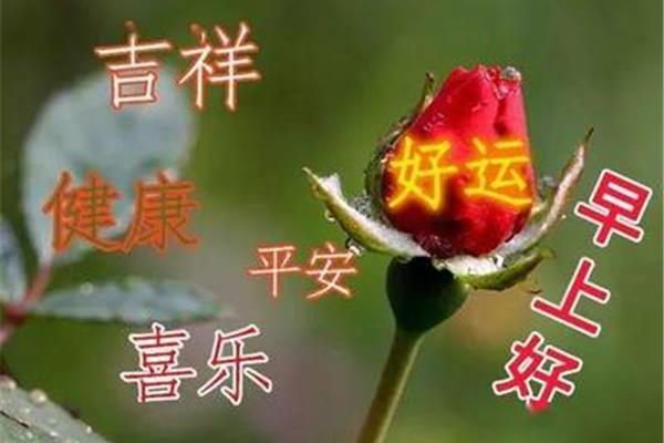 求平安的句子