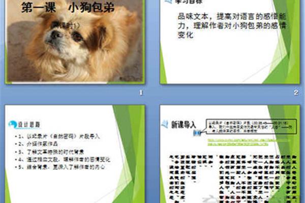 小狗包弟原文