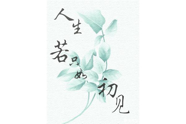 人生若是如初见