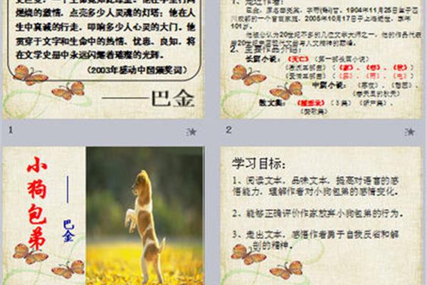 小狗包弟原文