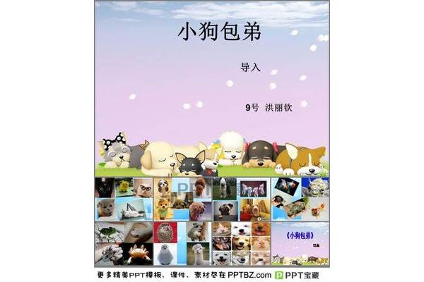 小狗包弟原文