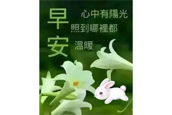 求平安的句子