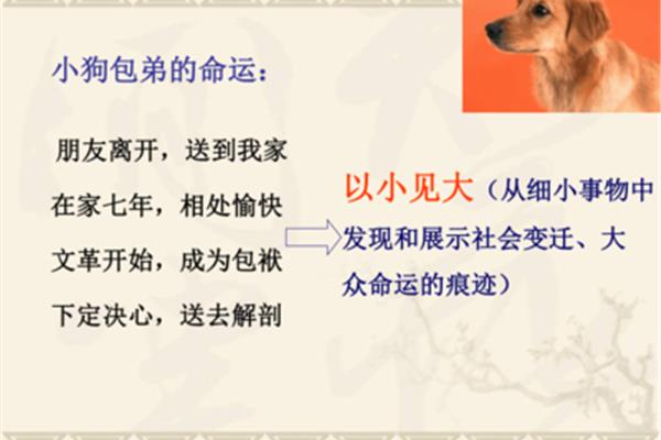小狗包弟原文