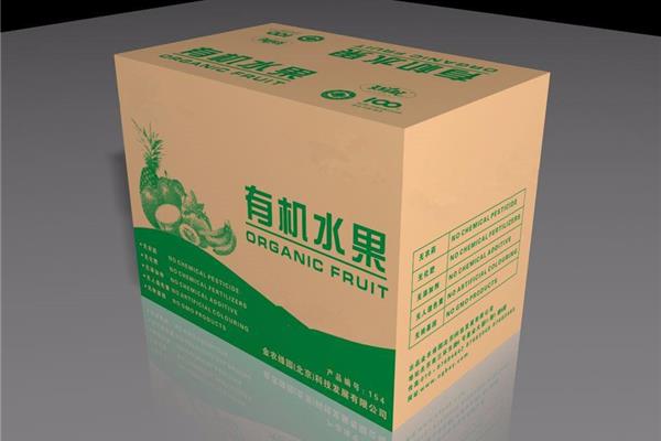 假期计划英语