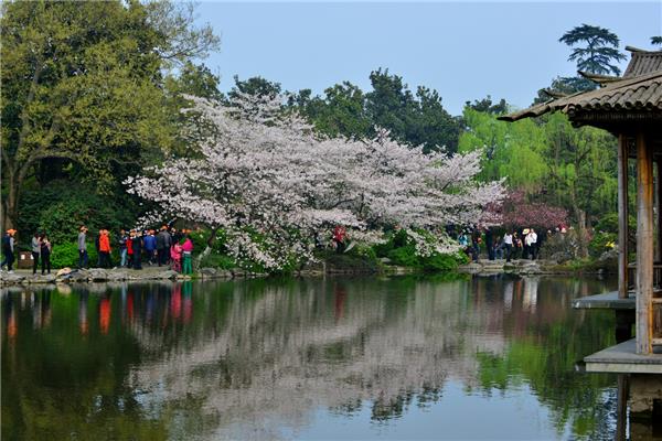 春天的景色图片