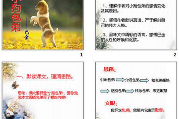 小狗包弟原文