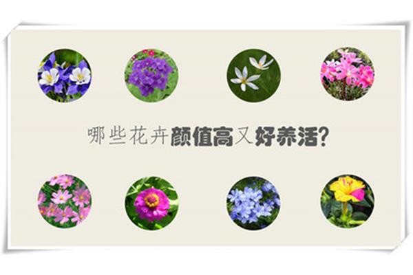 形容植物的词语