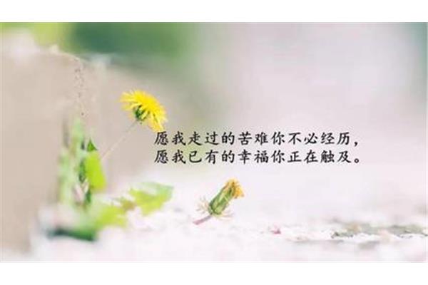 致自己人生感悟