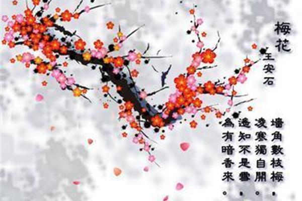 古诗咏梅王安石