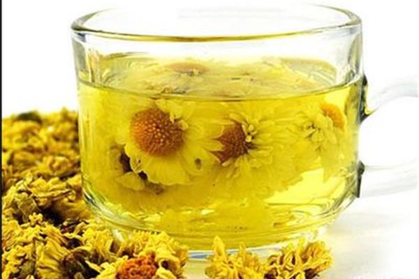 菊花的作用与功效