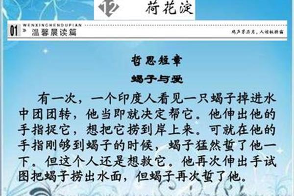 荷花淀课件