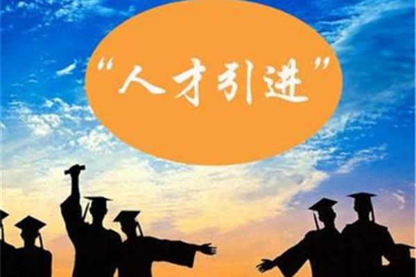 应届本科毕业生