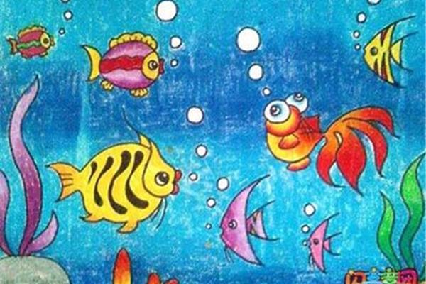 海底世界图画