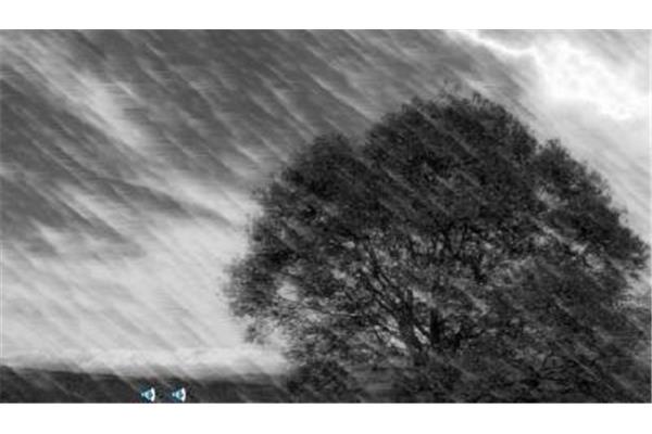 夏天的雷雨