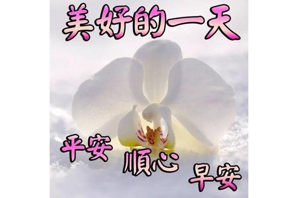 求平安的句子