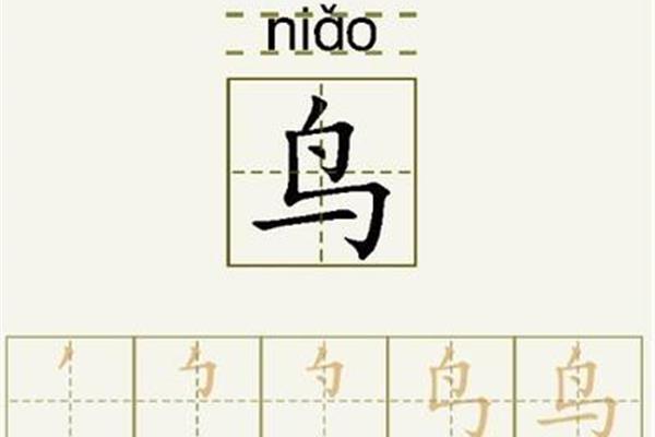 鸟字笔画顺序
