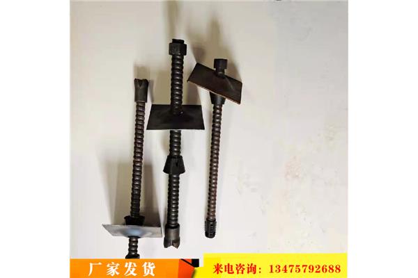 自进式锚杆
