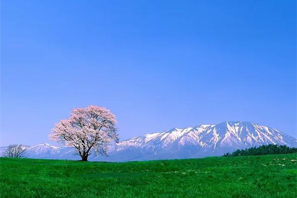 这里风景独好