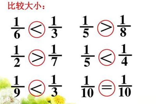 分数的大小比较
