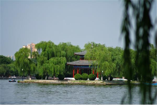 大明湖畔的