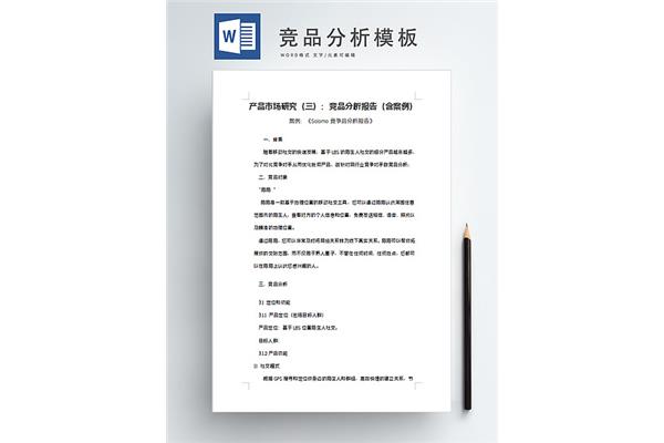 案例分析报告模板