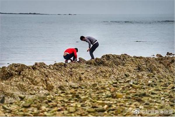 什么叫赶海