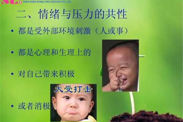 情绪与压力管理