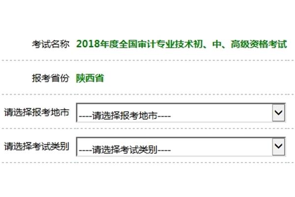 审计师报名时间