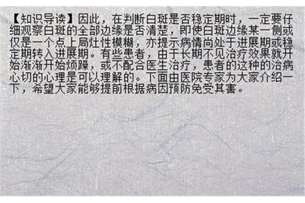 同仁什么意思
