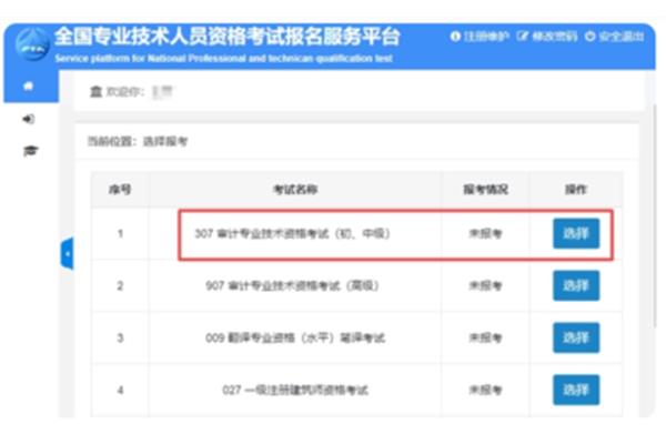 审计师报名时间