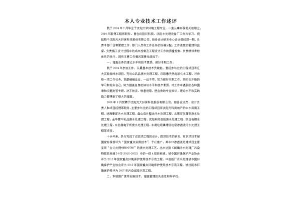 专业技术工作述评