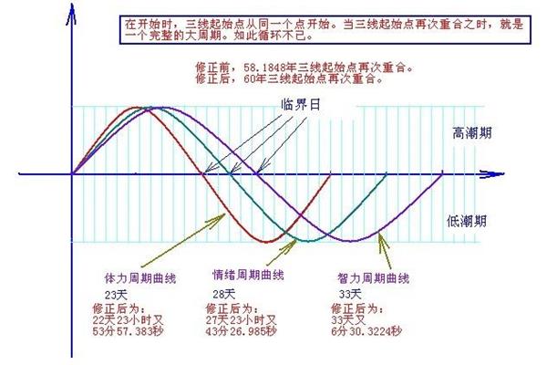 生物三节律