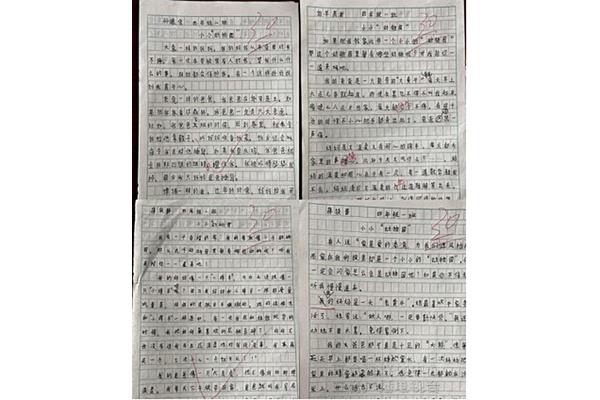 赞美老师的作文