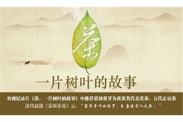 一片树叶的故事