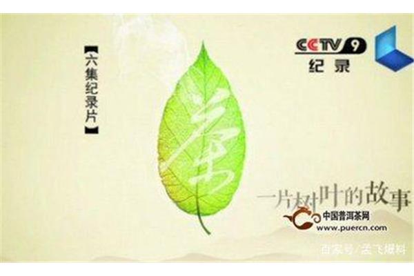 一片树叶的故事