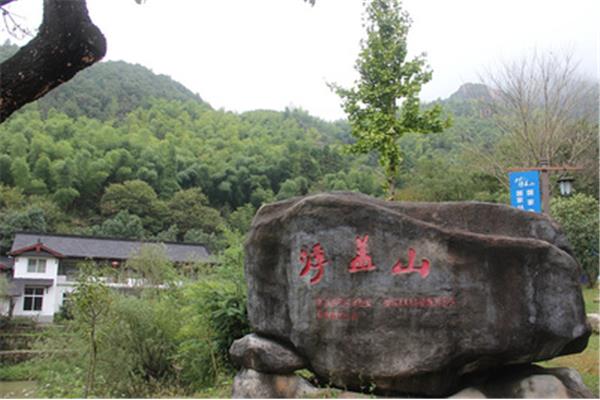 关于读书的电影
