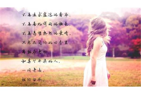关于爱情的句子