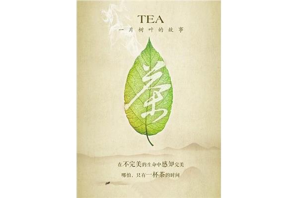 一片树叶的故事