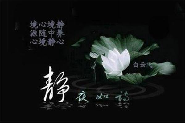 淡然的诗句