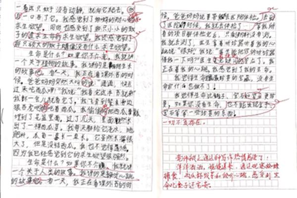 赞美老师的作文