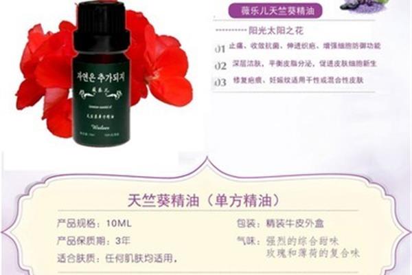 天竺葵精油的功效