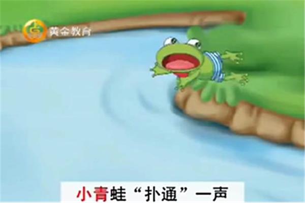 小青蛙的故事