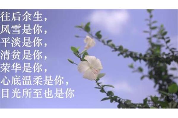 关于爱情的句子