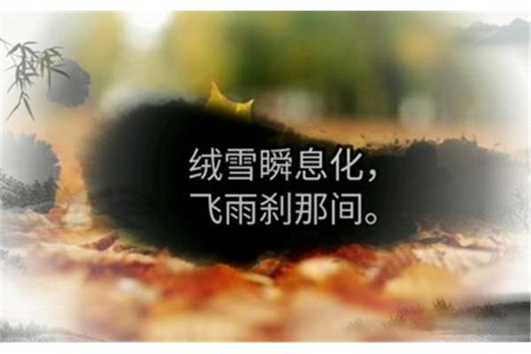 淡然的诗句