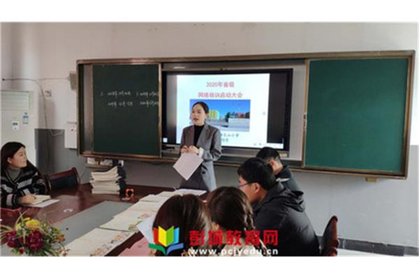 专家型教师