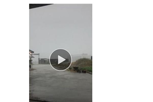 雨下的真大
