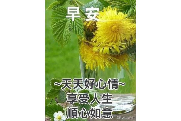 每日祝福语早安